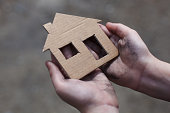 SD - Homeless Boy Holding Cardboard House